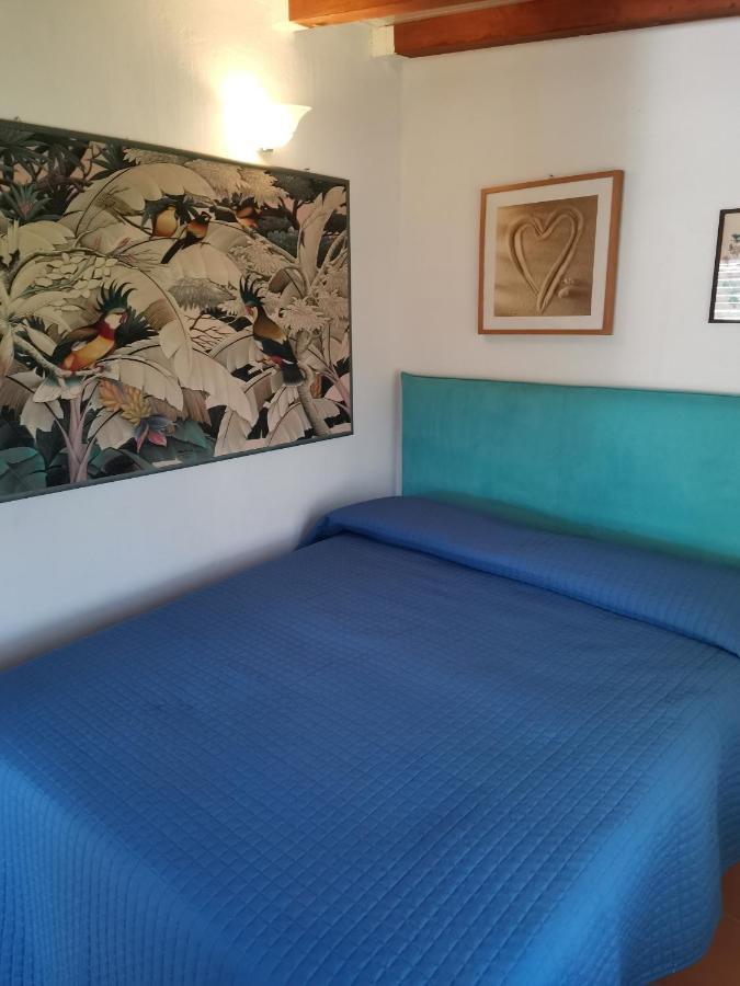 Giannella Tuscany Holidays Экстерьер фото