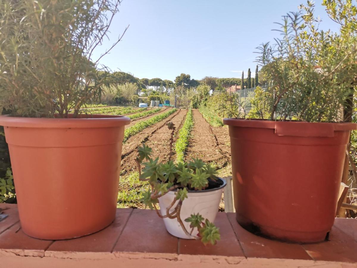 Giannella Tuscany Holidays Экстерьер фото